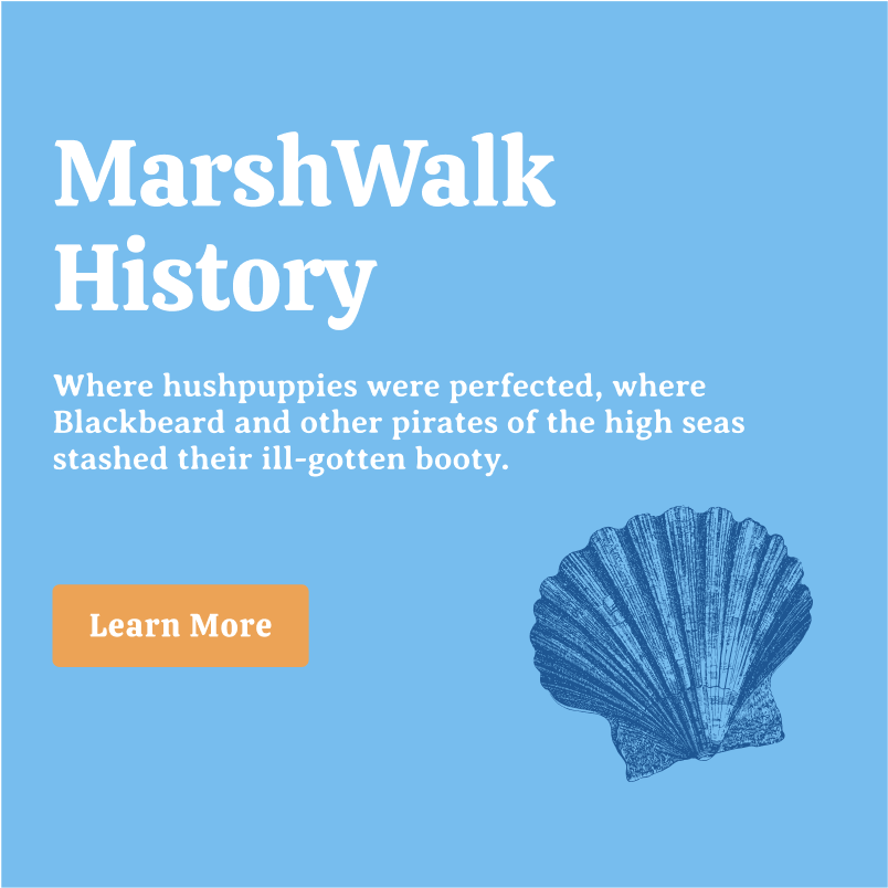 MarshWalk 2